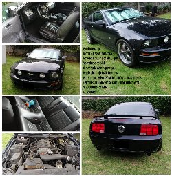 Mustang 2005.jpg